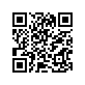 12103-21820-100 PISTON SET(OS:1.0)