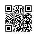 12106-32500 Rubber, cylinder