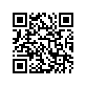 12110-01A02-050 Piston (os:0.5)