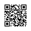 12110-01B41-025 Piston (os:0.25)