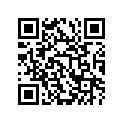 12110-02B21-100 Piston (os:1.0)