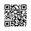 12110-03B10-050 Piston (os:0.5)
