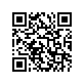 12110-03D03-050 Piston (os:0.5)