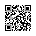 12110-04704-00B Piston