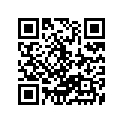 12110-04710-050 Piston (os:0.5)