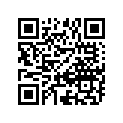 12110-04710-100 Piston (os:1.0)