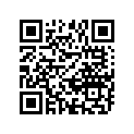 12110-07901-050 Piston (os:0.5)