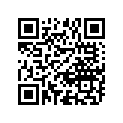 12110-08402-100 Piston (os:1.0)