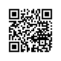 12110-12000-050 Piston (os:0.5)