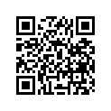 12110-14112-025 Piston (os:0.25)