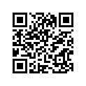 12110-14112-050 Piston (os:0.5)