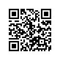12110-14221-025 Piston (os:0.25)