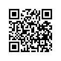 12110-14301-025 Piston (os:0.25)