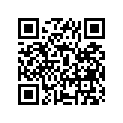 12110-14301-050 Piston (os:0.5)