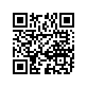 12110-14511-000 Piston