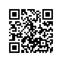 12110-14511-025 Piston (os:0.25)