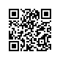 12110-14511-050 Piston (os:0.5)