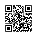 12110-20401-050 Piston (os:0.5)