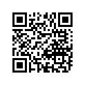 12110-20411-050 Piston (os:0.5)