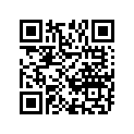12110-28C03-0F0 Piston