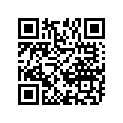 12110-28E00-0F0 Piston