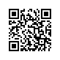 12110-36E01-0F0 Piston