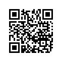 12110-37E02-0F0 Piston