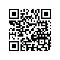 12110-40312-050 Piston (os:0.50)