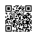 12110-40601-025 Piston (os:0.25)