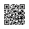 12110-40601-050 Piston (os:0.50)