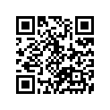 12110-40901-025 Piston (os:0.25)