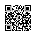 12110-41300-025 