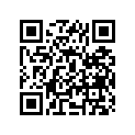 12110-41310-025 Piston (os:0.25)