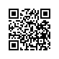 12110-41731-025 