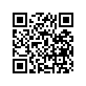 12110-46560-050 Piston (os:0.5)