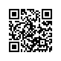 12110-48001-100 PISTON(OS:1.0)