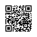 12110-92E20 12110-92E21-PISTON,STBD