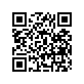 12110-95501-025 12100-95331-025-PISTONSET,OS0.