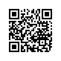 12111-01401-100 Piston (os:1.0)