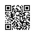 12111-02F11-0F0 Piston