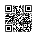 12111-02H00-0F0 PISTON