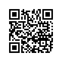 12111-03G10-0F0 PISTON