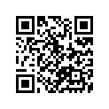 12111-05201-050 PISTON (OS:0.5)