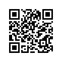 12111-05201-100 Piston (os:1.0)
