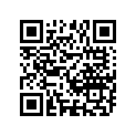 12111-05202-050 PISTON (OS:0.5)