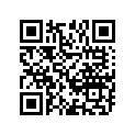 12111-08H00-0F0 Piston