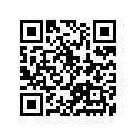 12111-11401-050 Piston (os:0.5)