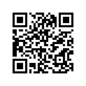 12111-11403-050 Piston (os:0.5)