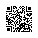 12111-15504-050 Piston (os:0.5)
