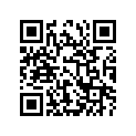 12111-17E04-0F0 PISTON